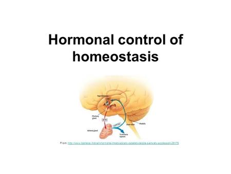 Hormonal control of homeostasis From: