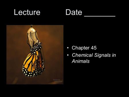 LectureDate _______ Chapter 45 Chemical Signals in Animals.
