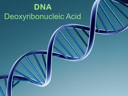 DNA Deoxyribonucleic Acid. Nature vs. Nurture? DNA We know traits are inherited but how are they inherited?