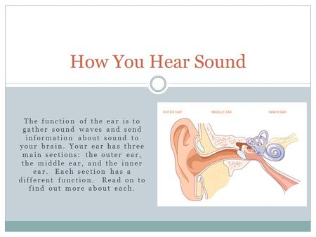 How You Hear Sound The function of the ear is to gather sound waves and send information about sound to your brain. Your ear has three main sections: the.