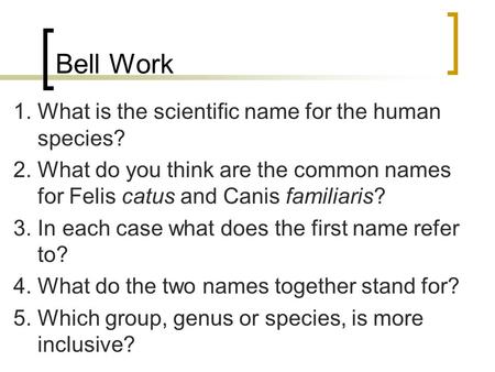 Bell Work 1. What is the scientific name for the human species?