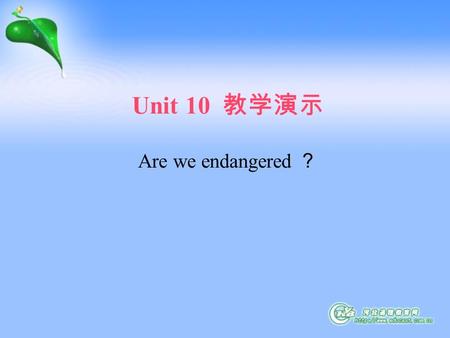 Unit 10 教学演示 Are we endangered ？. Countless wild animals are joining endangered lists! Endangered animals.