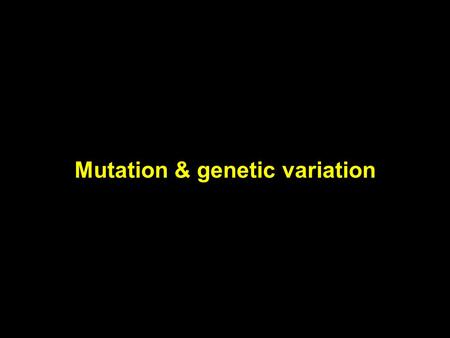 Mutation & genetic variation. Mutations gene – stretch of dna that codes for a distinctive type of rna or protein allele – versions of the same gene.