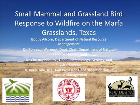 Small Mammal and Grassland Bird Response to Wildfire on the Marfa Grasslands, Texas Bobby Allcorn, Department of Natural Resource Management Dr. Bonnie.