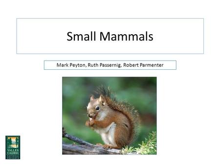 Small Mammals Mark Peyton, Ruth Passernig, Robert Parmenter.
