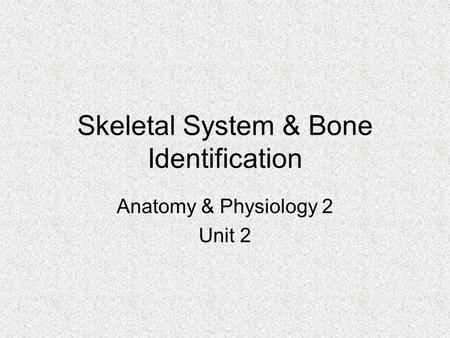 Skeletal System & Bone Identification