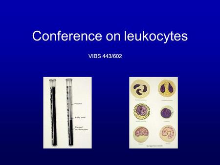 Conference on leukocytes VIBS 443/602. BLOOD - DIAGNOSTIC VALUE - MOST EXAMINED TYPES OF INFORMATION: IDENTIFY NATURE OF DISEASE VIRAL – T LYMPHOCYTES.