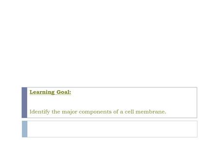 Learning Goal: Identify the major components of a cell membrane.