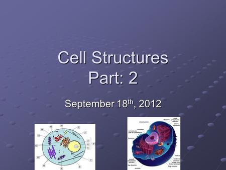 Cell Structures Part: 2 September 18th, 2012.
