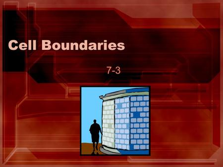 Cell Boundaries 7-3 The beginning and the end… 1. All cells have a cell membrane –Thin –Flexible 2. Some cells have additional support known as the cell.