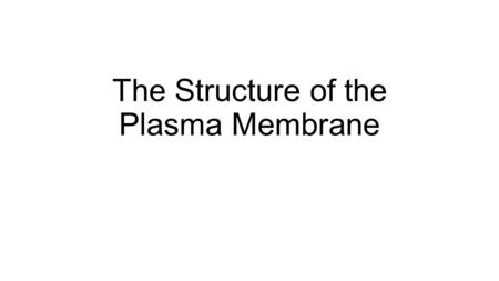 The Structure of the Plasma Membrane. Membrane Structure The plasma membrane is 8 nm thick. It is mainly made up of phospholipids and proteins.