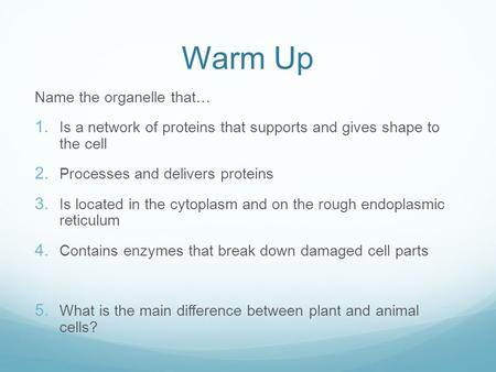 Warm Up Name the organelle that… 1. Is a network of proteins that supports and gives shape to the cell 2. Processes and delivers proteins 3. Is located.