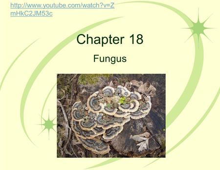 Chapter 18 Fungus  mHkC2JM53c.