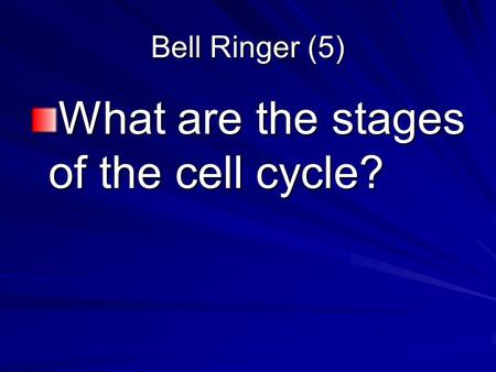 What are the stages of the cell cycle?