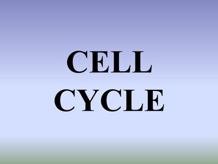 CELL CYCLE How many cells do we begin with? 2 How do we get more?