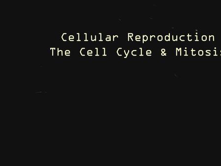 Cellular Reproduction The Cell Cycle & Mitosis. 9 - Ch.9 – Cellular Reproduction 9.1 – Cellular Growth.