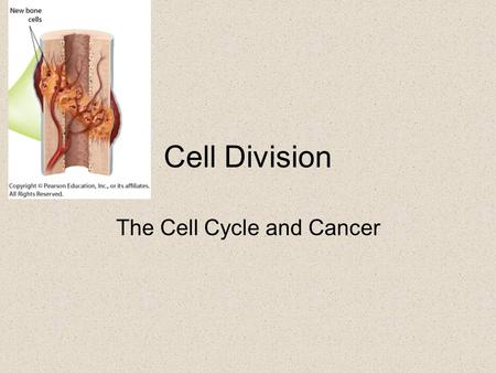 Cell Division The Cell Cycle and Cancer. The Phases of the Cell Cycle.