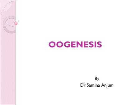 OOGENESIS By Dr Samina Anjum.