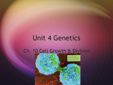 Unit 4 Genetics Ch. 10 Cell Growth & Division. Cell Growth  In most cases, living things grow by producing more cells  The cells of an adult animal.