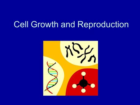 Cell Growth and Reproduction. Why Cells Must Divide In multi-celled organisms (like humans) cells specialize for specific functions thus the original.