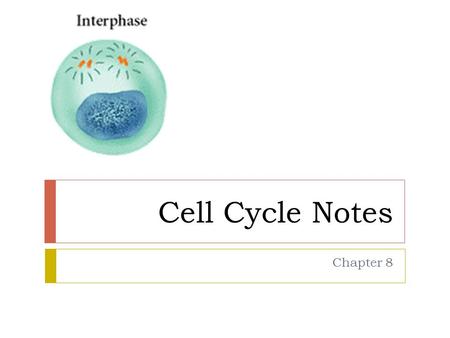 Cell Cycle Notes Chapter 8. Division of the Cell  Cell division forms two identical “daughter” cells.  Before cell division occurs, the cell replicates.