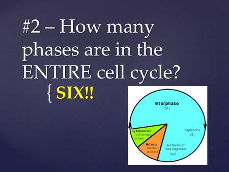 { #2 – How many phases are in the ENTIRE cell cycle? SIX!!