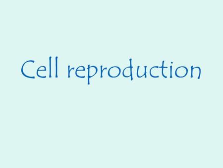 Cell reproduction. Cell theory states that all cells come from preexisting cells. Cell division is the process by which new cells are produced from one.