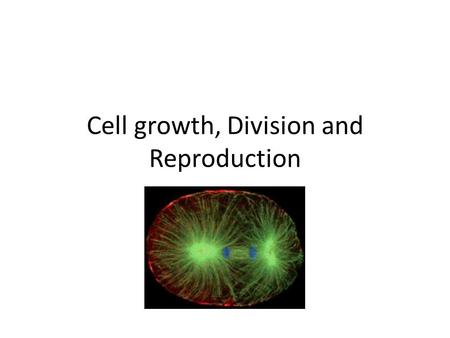 Cell growth, Division and Reproduction. Cell Division Produces 2 daughter cell Asexual Reproduction – produces genetically identical offspring from a.