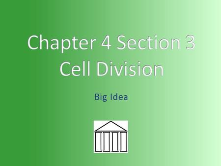 Big Idea. Science Standard 7.1.e: Cells divide to increase their numbers through a process of mitosis, which results in two daughter cells with identical.