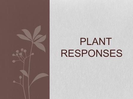 PLANT RESPONSES.