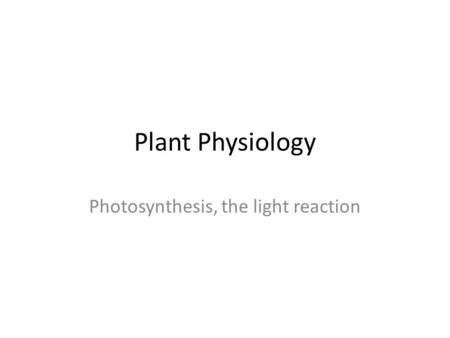 Photosynthesis, the light reaction