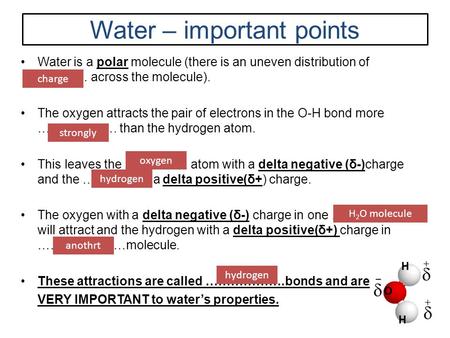 Water – important points