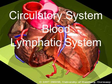 Circulatory System Blood Lymphatic System. The Heart & Blood flow.