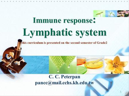 1 C. C. Peterpan Immune response : Lymphatic system this curriculum is presented on the second semester of Grade2.