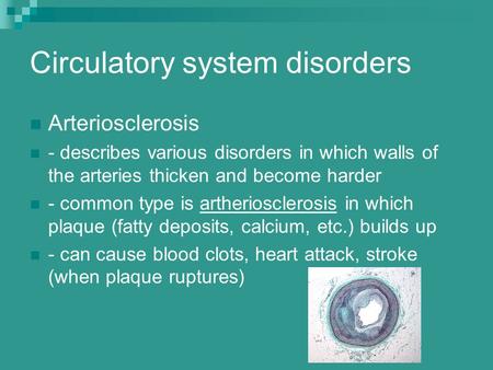 Circulatory system disorders Arteriosclerosis - describes various disorders in which walls of the arteries thicken and become harder - common type is artheriosclerosis.
