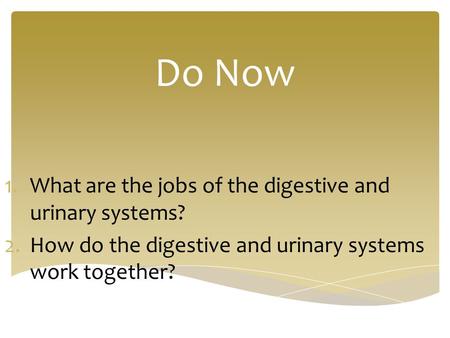 Do Now 1.What are the jobs of the digestive and urinary systems? 2.How do the digestive and urinary systems work together?