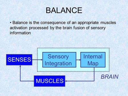 BALANCE SENSES MUSCLES BRAIN Sensory Integration Internal Map Balance is the consequence of an appropriate muscles activation processed by the brain fusion.
