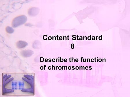 Describe the function of chromosomes