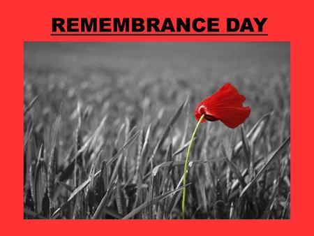 REMEMBRANCE DAY. What are we remembering on Remembrance Day?
