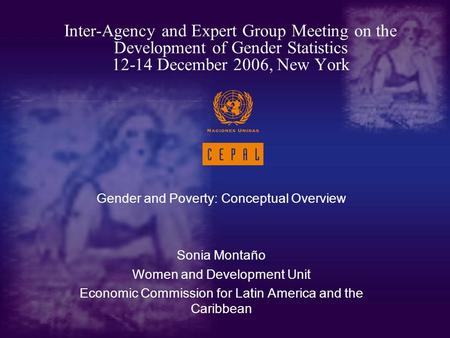 Gender and Poverty: Conceptual Overview Sonia Montaño Women and Development Unit Economic Commission for Latin America and the Caribbean Inter-Agency and.