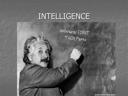 INTELLIGENCE. WHAT IS INTELLIGENCE? ______________ = the measure of skills or knowledge you have already learned ______________ = the measure of skills.