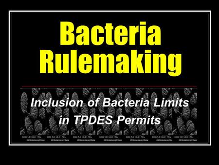 Bacteria Rulemaking Inclusion of Bacteria Limits in TPDES Permits.