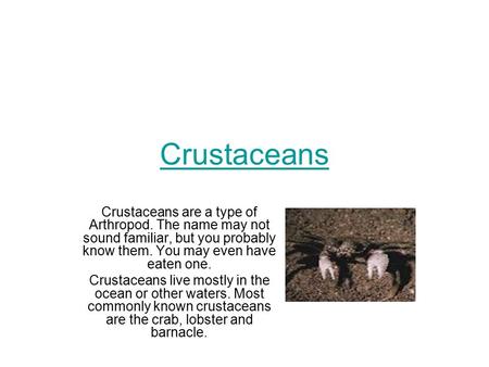 Crustaceans Crustaceans are a type of Arthropod. The name may not sound familiar, but you probably know them. You may even have eaten one. Crustaceans.