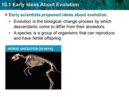 10.1 Early Ideas About Evolution Early scientists proposed ideas about evolution. Evolution is the biological change process by which descendants come.