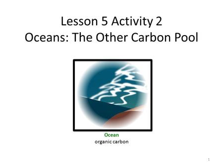 Lesson 5 Activity 2 Oceans: The Other Carbon Pool