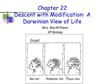 Chapter 22 Descent with Modification: A Darwinian View of Life
