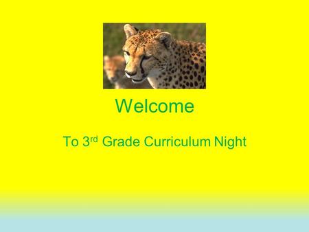 Welcome To 3 rd Grade Curriculum Night. TEKS  Planning- All 3 rd grade teachers plan together to ensure consistency across the grade level.  3 rd grade.