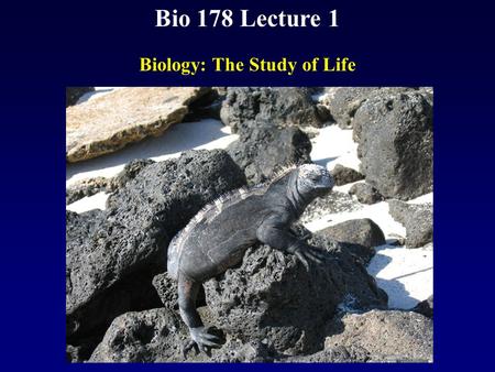 Bio 178 Lecture 1 Biology: The Study of Life. Reading Chapter 1 Quiz Material Questions on P18 Chapter 1 Quiz on Text Website (www.mhhe.com/raven7)