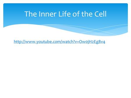 The Inner Life of the Cell.