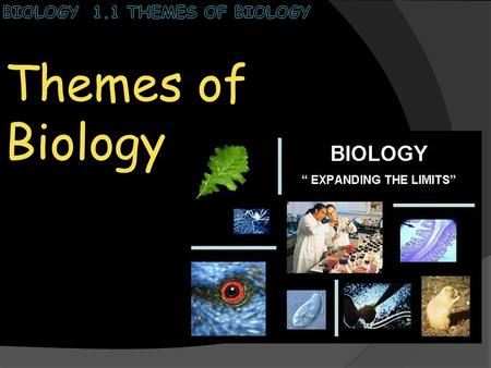 Themes of Biology. Biology 1.1 Themes of Biology  Everyday, you are surrounded by living things that scientists call organisms. Some organisms; such.